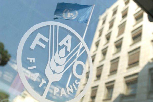 افزایش ۰.۴درصدی قیمت گوشت در بازار جهانی/ لبنیات ۶.۲درصد گران شد افزایش ۰.۴درصدی قیمت گوشت در بازار جهانی/ لبنیات ۶.۲درصد گران شد
