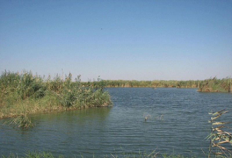 آبگیری دائمی تالاب هورالعظیم تنهاراه کنترل سیلاب خوزستان است آبگیری دائمی تالاب هورالعظیم تنهاراه کنترل سیلاب خوزستان است
