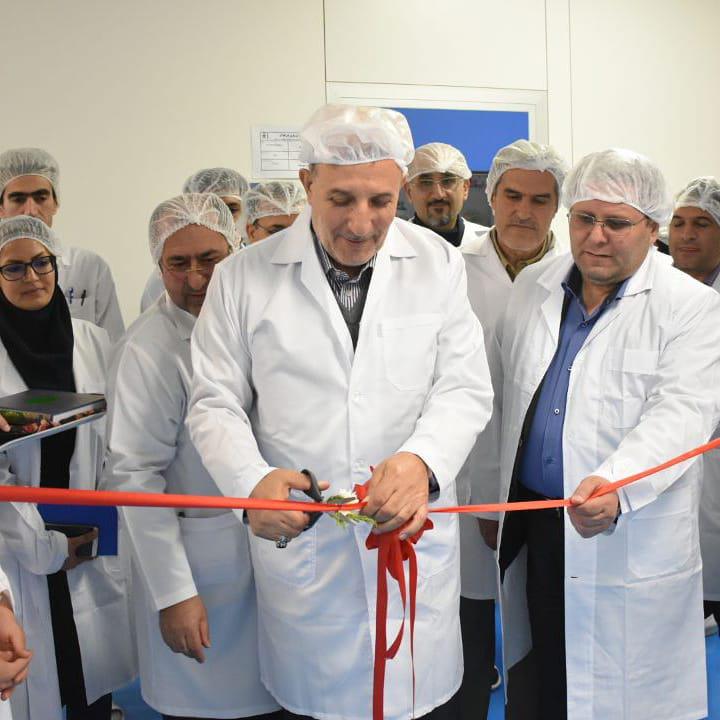 بازدید مدیرعامل بانک صنعت و معدن از طرحهای لرستان بازدید مدیرعامل بانک صنعت و معدن از طرحهای لرستان