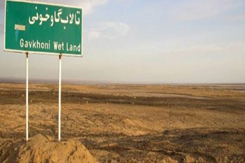 تالاب بینالمللی گاوخونی پس از 15سال سیراب شد تالاب بینالمللی گاوخونی پس از 15سال سیراب شد