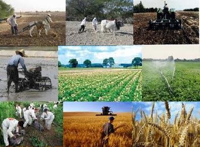 فرایند صدور مجوز واردات برای تعاونیهای مرزنشین تسهیل شد فرایند صدور مجوز واردات برای تعاونیهای مرزنشین تسهیل شد