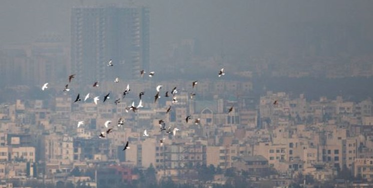 ادامه غلظت آلایندگی در کلانشهرها ادامه غلظت آلایندگی در کلانشهرها