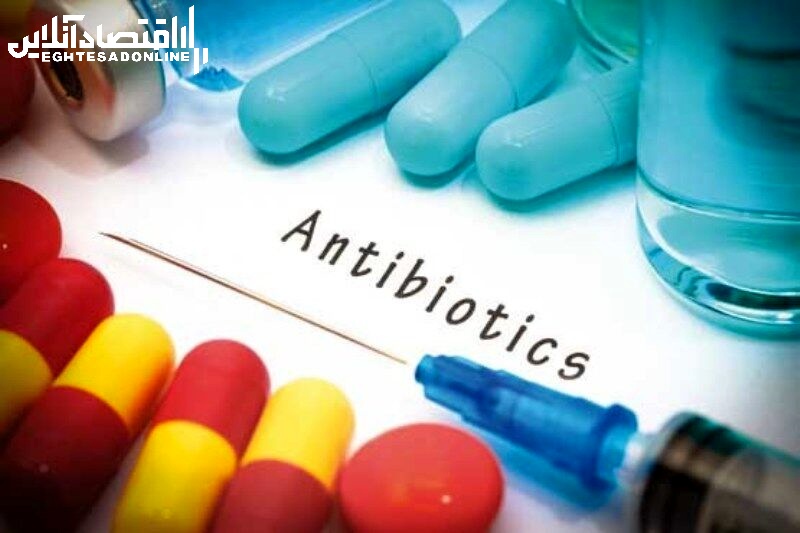 آنتی بیوتیک های طبیعی را بشناسید آنتی بیوتیک های طبیعی را بشناسید