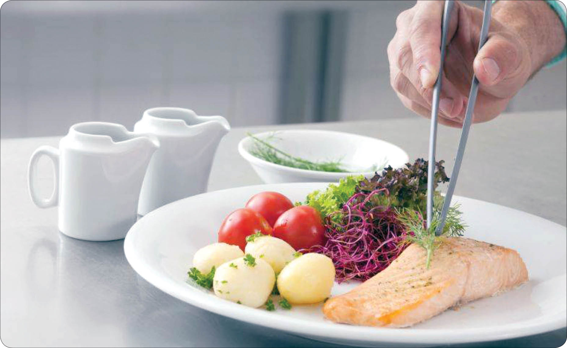 تغذیه سالم برای شبکارها تغذیه سالم برای شبکارها