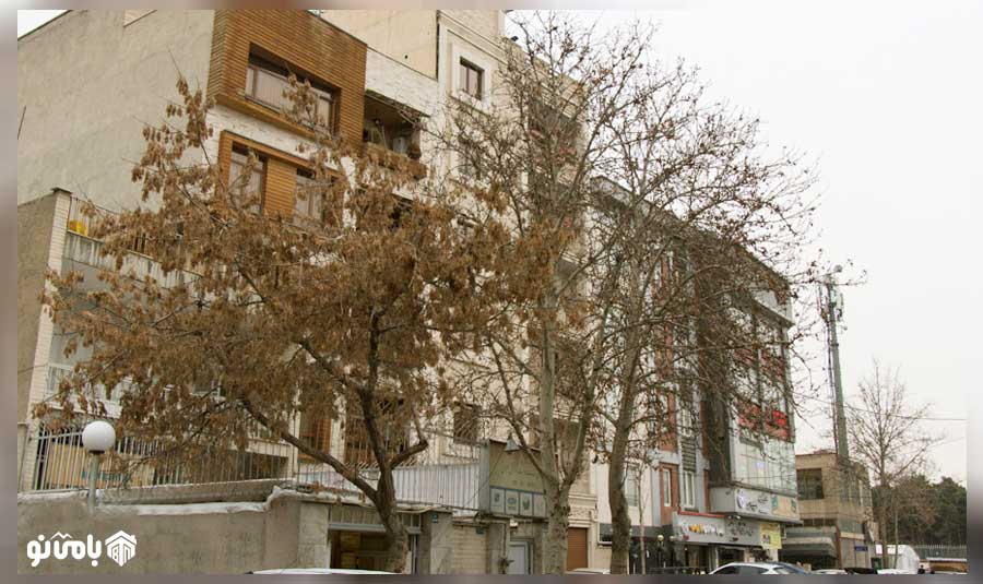قیمت و خرید ملک در شهر زیبا قیمت و خرید ملک در شهر زیبا
