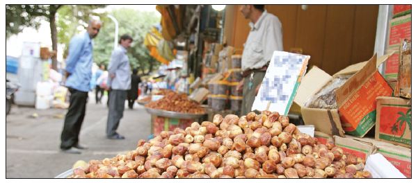 تنظیم بازار خرمای ماه مبارک رمضان کلید خورد تنظیم بازار خرمای ماه مبارک رمضان کلید خورد
