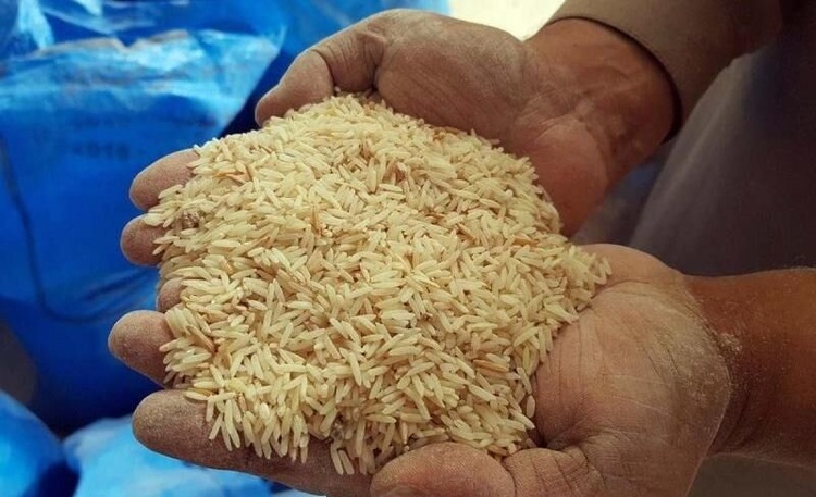 چرا واردکنندگان برنج باید مابهالتفاوت بدهند؟ چرا واردکنندگان برنج باید مابهالتفاوت بدهند؟