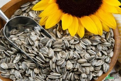 5دانه شگفت انگیز برای کاهش وزن و لاغری 5دانه شگفت انگیز برای کاهش وزن و لاغری