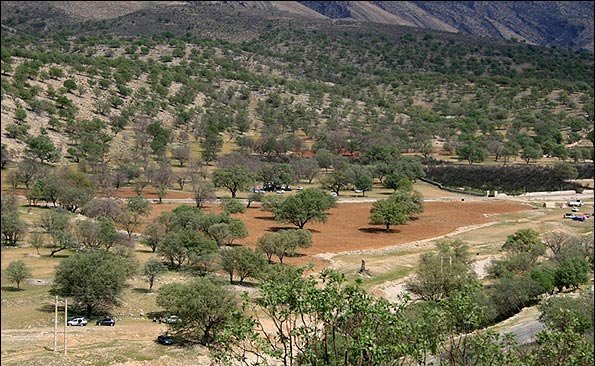 مدرسهای به وسعت جنگلهای بلوط مدرسهای به وسعت جنگلهای بلوط