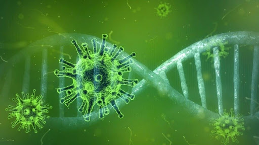 توصیههای ضد کرونایی توصیههای ضد کرونایی