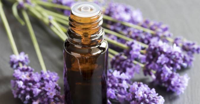 چرا از بنفشهها روغن میگیرید؟ چرا از بنفشهها روغن میگیرید؟