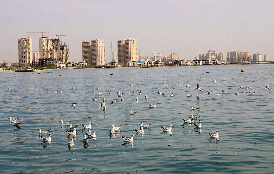 ضدعفونی کردن دریاچه چیتگر در 3نوبت ضدعفونی کردن دریاچه چیتگر در 3نوبت