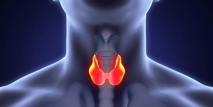 راهکارهای مؤثر طب سنتی ایران برای کمکاری تیروئید راهکارهای مؤثر طب سنتی ایران برای کمکاری تیروئید
