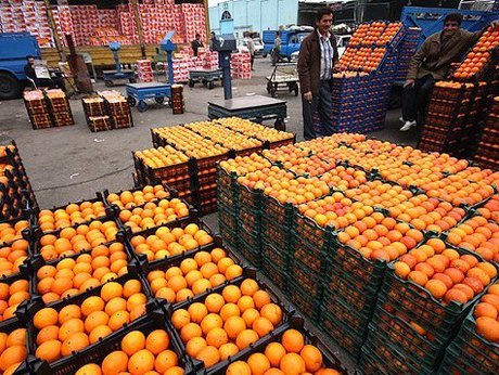 فردا؛ توزیع سیب و پرتقال تنظیم بازاری فردا؛ توزیع سیب و پرتقال تنظیم بازاری