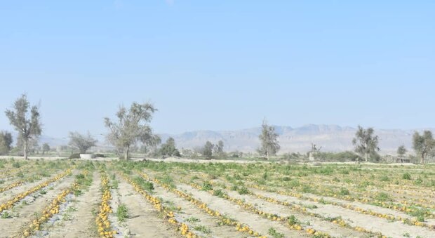 پرداخت تسهیلات بانکی سیل زدگان در سه استان ابلاغ شد پرداخت تسهیلات بانکی سیل زدگان در سه استان ابلاغ شد