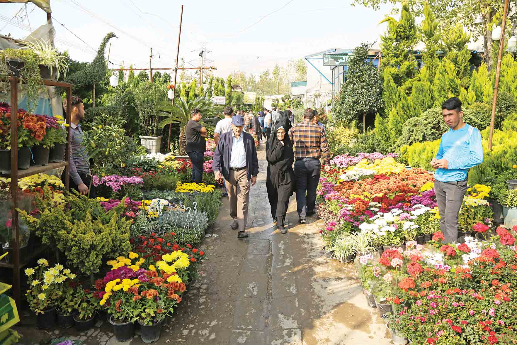 نوسان قیمتها در بازار سبزه شب عید نوسان قیمتها در بازار سبزه شب عید