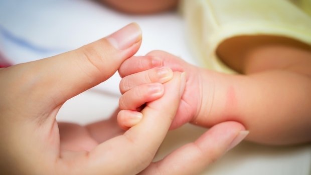 خرید وفروش میلیونی تخمک در دست دلالان خرید وفروش میلیونی تخمک در دست دلالان