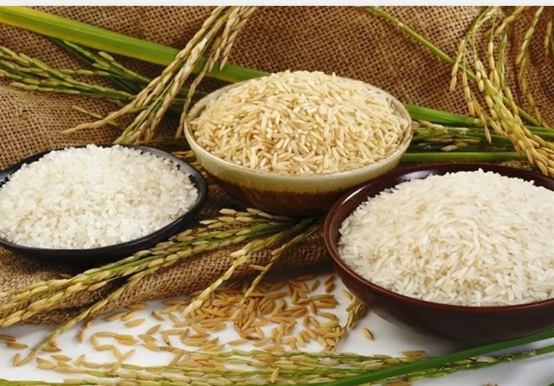 مجلس با حذف ارز دولتی واردات برنج مخالف است مجلس با حذف ارز دولتی واردات برنج مخالف است