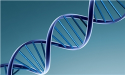 تشخیص DNA با وان حمام چیست؟ تشخیص DNA با وان حمام چیست؟