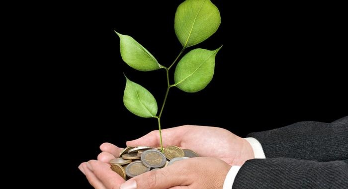 درخت بکارید، ارز دیجیتال برداشت کنید درخت بکارید، ارز دیجیتال برداشت کنید