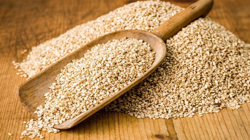 روغن کنجد درمانی برای پوکی استخوان روغن کنجد درمانی برای پوکی استخوان