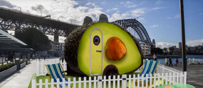 اقامت در هتل آووکادو به مناسبت روز ملی آووکادو در استرالیا +تصاویر