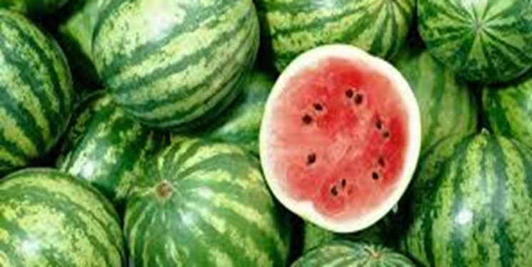 الگوی کشت همچنان قربانی میگیرد الگوی کشت همچنان قربانی میگیرد