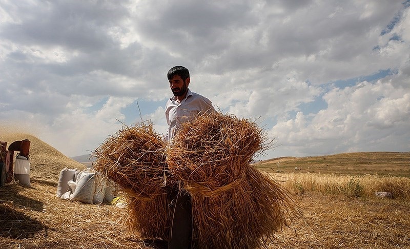 تخصیص ۱.۵ میلیارد دلار برای اشتغال روستایی تخصیص ۱.۵ میلیارد دلار برای اشتغال روستایی