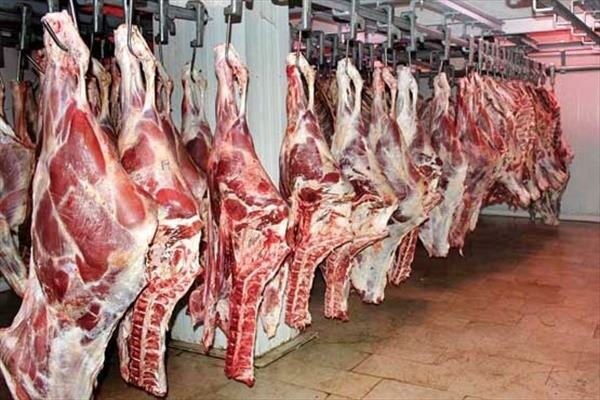 گوشت قرمز ارزان میشود گوشت قرمز ارزان میشود