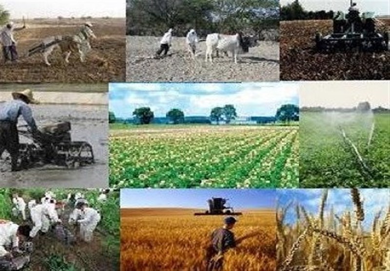 ۷۲واحد تعطیل حوزه کشاورزی استان تهران فعال شد ۷۲واحد تعطیل حوزه کشاورزی استان تهران فعال شد
