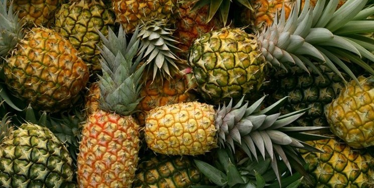 میوههای وارداتی بازار را گرفتند/ آناناس کارتنی تا 315هزار تومان میوههای وارداتی بازار را گرفتند/ آناناس کارتنی تا 315هزار تومان