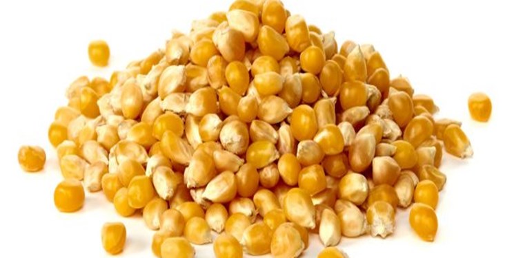 4سیاست برای اصلاح واردات محصولات اساسی کشاورزی 4سیاست برای اصلاح واردات محصولات اساسی کشاورزی