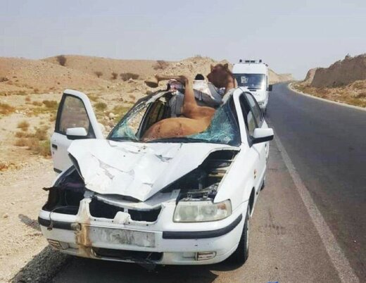 سرعت غیرمجاز ۳عضو یک خانواده را به کشتن داد! سرعت غیرمجاز ۳عضو یک خانواده را به کشتن داد!