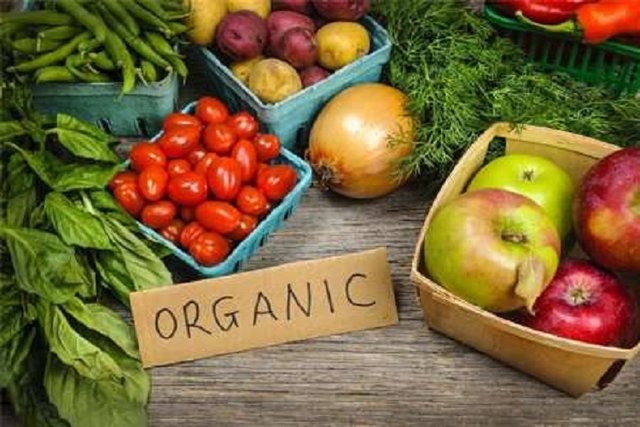اولویت صدور مجوز برای محصولات ارگانیک اولویت صدور مجوز برای محصولات ارگانیک