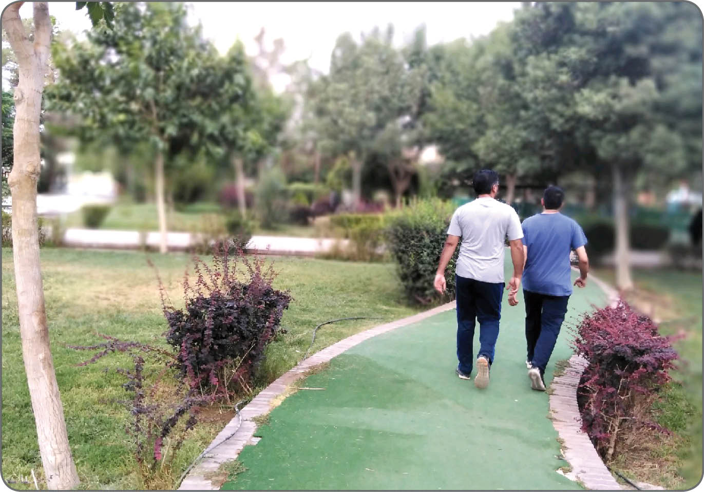 چربی بسوزانید، با کمترین فشار به قلب چربی بسوزانید، با کمترین فشار به قلب