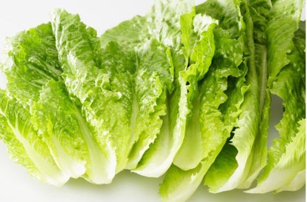 فواید کاهو در حفظ قوه بینایی و پیشگیری از سرطان فواید کاهو در حفظ قوه بینایی و پیشگیری از سرطان