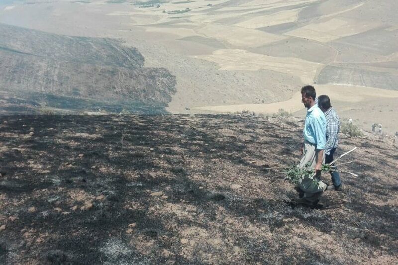 آتش سوزی در ارتفاعات مسجدسلیمان در حال پیشروی است آتش سوزی در ارتفاعات مسجدسلیمان در حال پیشروی است