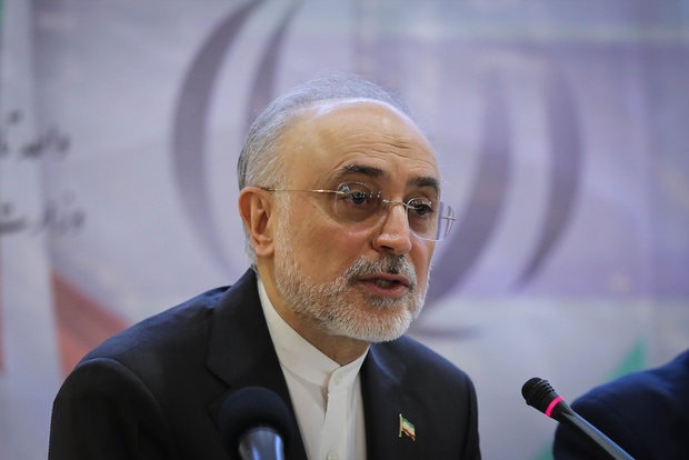 صالحی: فعالیت رآکتور آب سنگین اراک ادامه مییابد صالحی: فعالیت رآکتور آب سنگین اراک ادامه مییابد