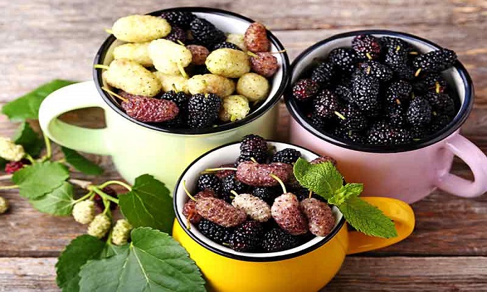 این میوهها به درمان سرطان کمک میکند این میوهها به درمان سرطان کمک میکند