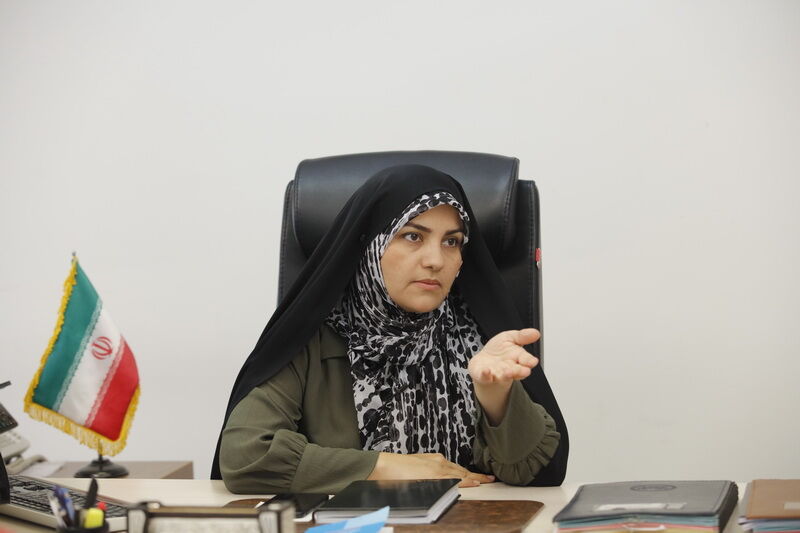 پهلوانی: «پدیده چسبندگی» مانع تغییر نسل در مدیران دولتی است پهلوانی: «پدیده چسبندگی» مانع تغییر نسل در مدیران دولتی است