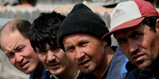 شناسایی حدود 50هزار نیروی کار خارجی غیرمجاز شناسایی حدود 50هزار نیروی کار خارجی غیرمجاز