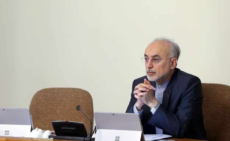 صالحی: با قدرت به حرکت برای پیشبرد اهداف هستهای ادامه میدهیم صالحی: با قدرت به حرکت برای پیشبرد اهداف هستهای ادامه میدهیم