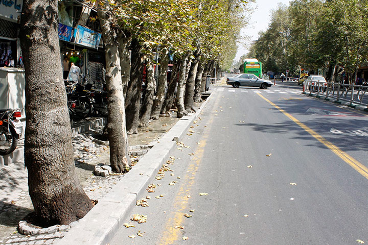 خیابان ولیعصر گوهر تهران است و باید حفظ شود/ انتقاد جدی به کمکاری در حوزه حفظ و صیانت از چنارهای طولانیترین خیابان تهران خیابان ولیعصر گوهر تهران است و باید حفظ شود/ انتقاد جدی به کمکاری در حوزه حفظ و صیانت از چنارهای طولانیترین خیابان تهران