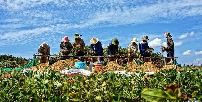 مبنای بخشودگی جرائم اضافه مصرف از چاههای آب کشاورزی مشخص نیست مبنای بخشودگی جرائم اضافه مصرف از چاههای آب کشاورزی مشخص نیست