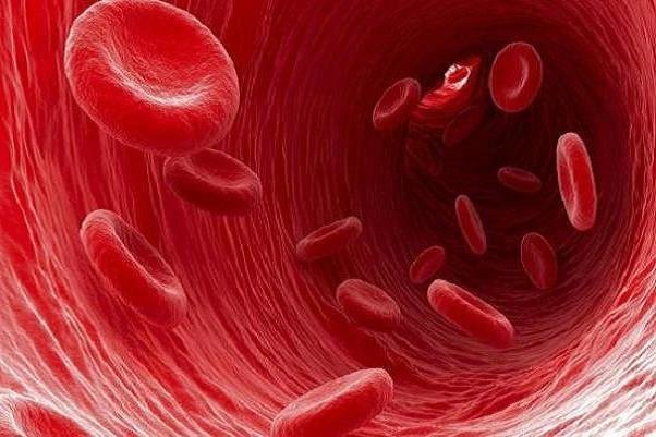 فاکتورهای پرخطر ابتلا به سرطان خون را بشناسید فاکتورهای پرخطر ابتلا به سرطان خون را بشناسید