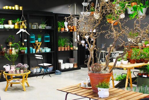 شکار گنج در فضای مجازی شکار گنج در فضای مجازی