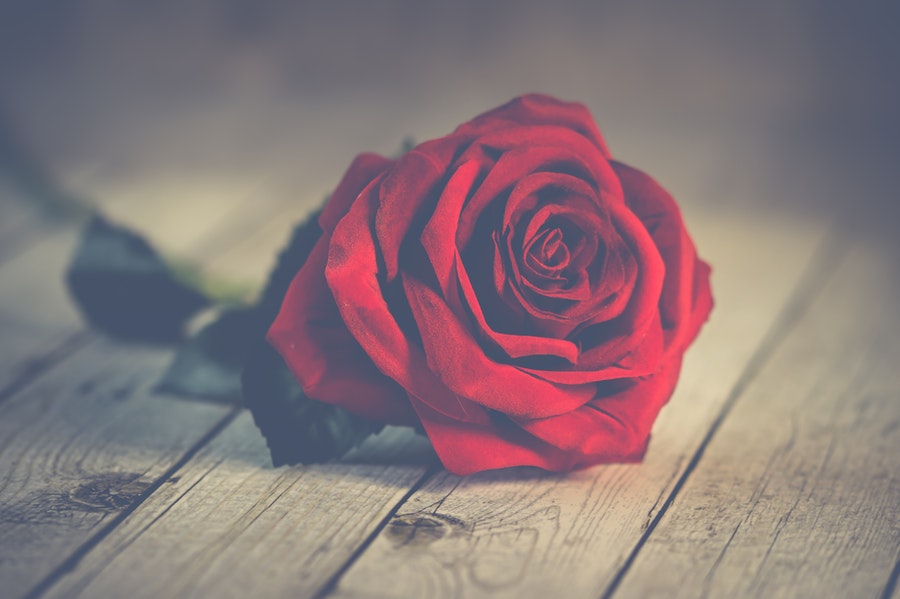 راههای آشکار کردن ارزش زندگی برای افراد راههای آشکار کردن ارزش زندگی برای افراد