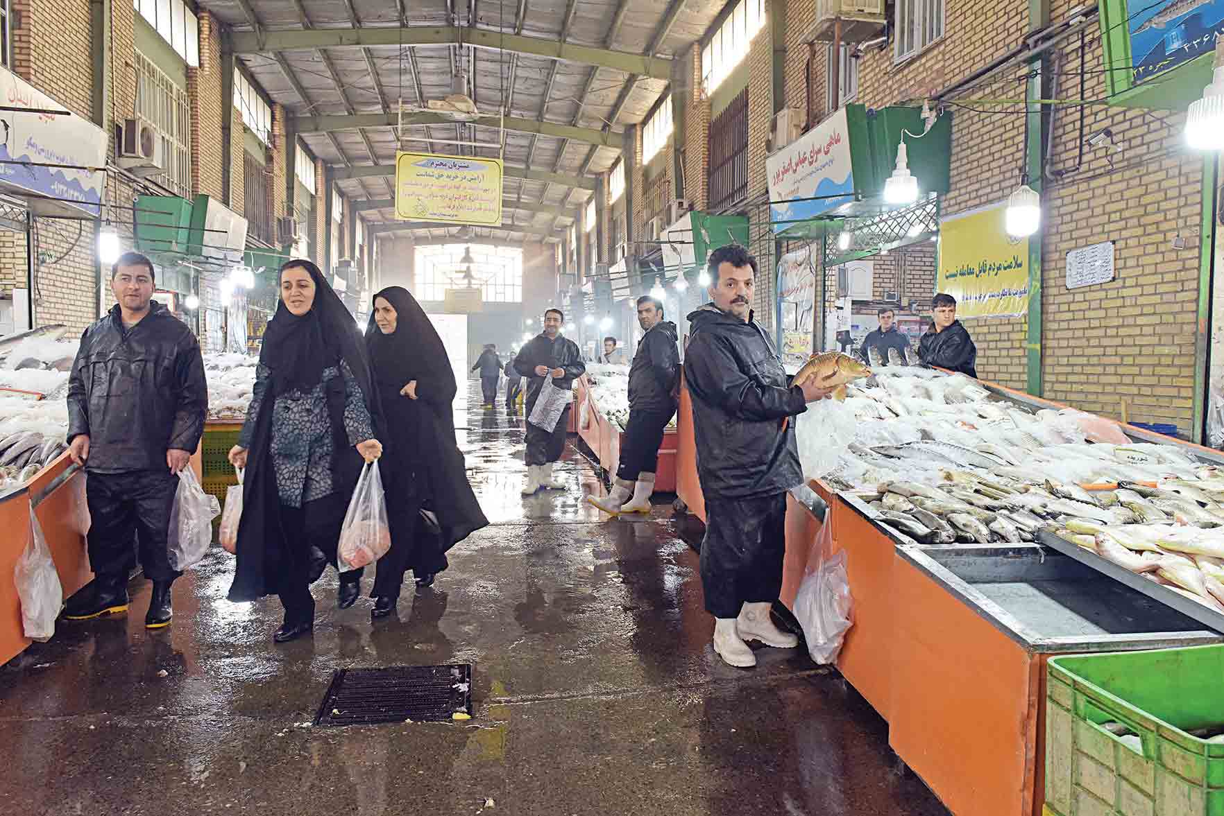 جای خالی ماهی در سفره خانوار جای خالی ماهی در سفره خانوار