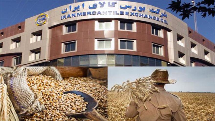 باید راه ورود کشاورزان به بورس کالا را هموار کرد/ شکل پذیرش محصولات کشاورزی با سایرکالاها یکسان نیست باید راه ورود کشاورزان به بورس کالا را هموار کرد/ شکل پذیرش محصولات کشاورزی با سایرکالاها یکسان نیست