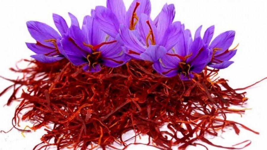 کاهش ۲۰درصدی صادرات زعفران کاهش ۲۰درصدی صادرات زعفران